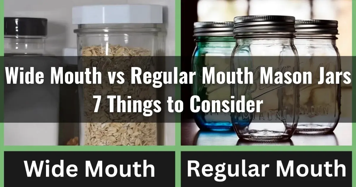Wide Mouth vs Regular Mouth Mason Jars: 7 Things to Consider
