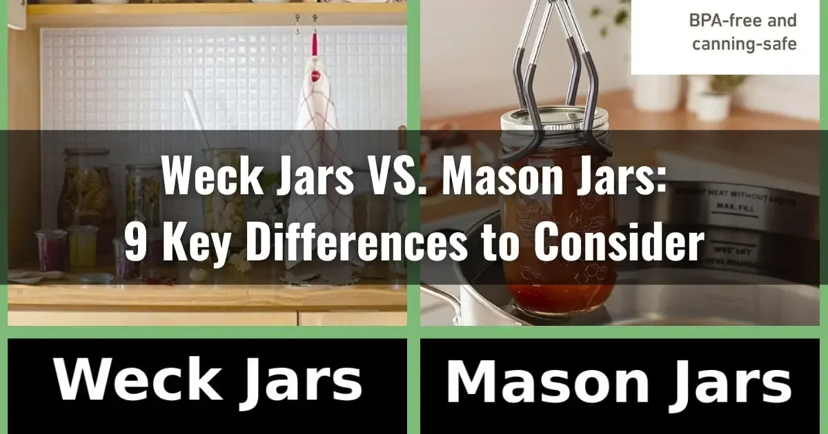Weck Jars vs Mason Jars: 9 Key Differences to Consider